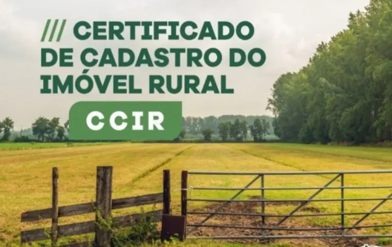 a4cf0f05ba0da68c35c98eecbe8d36b9