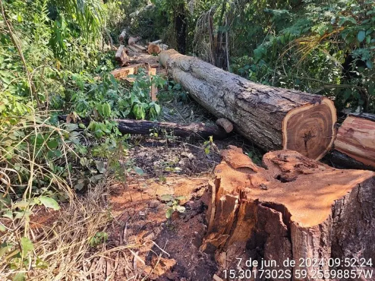 c3ce0029b949f6f486f925f76bc782a9