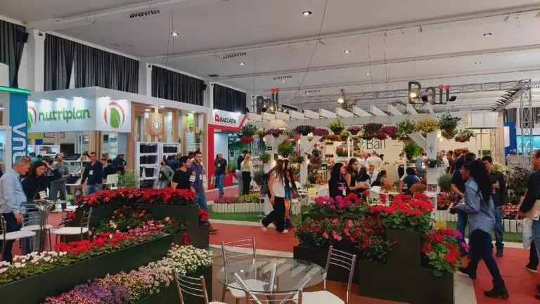 d79638bc28a87a949b7a186aa6f398b4