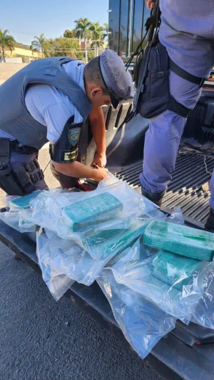 fe3e33e035280100c4d6d32f5a84f66f