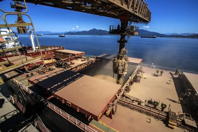 0a56806eb6451cdd185f9424a0439538