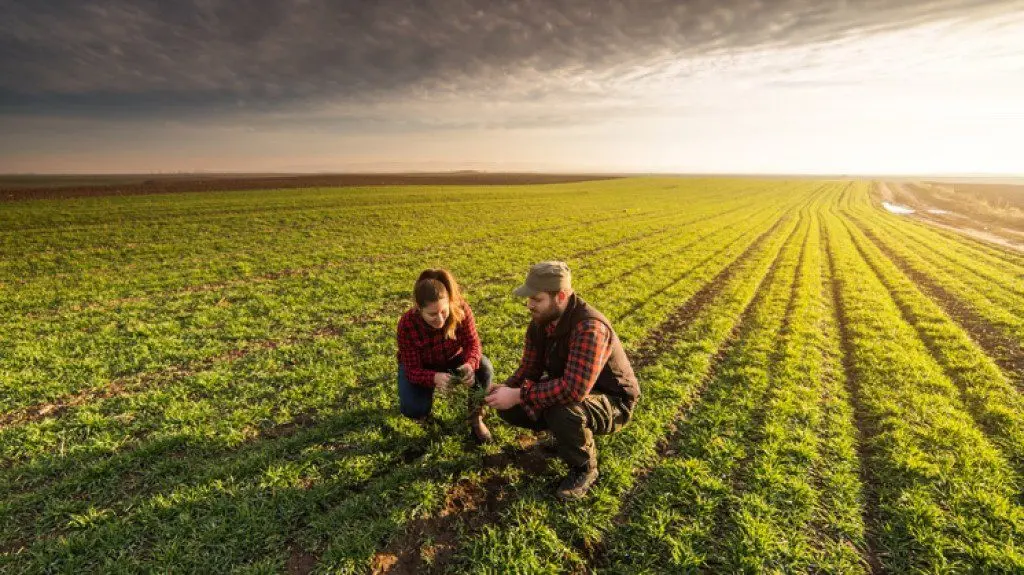 Indefinição sobre “produtor rural” compromete crédito e desenvolvimento no agronegócioo brasileiro 1 7466e48fdb22d066c03b58873ddd9547