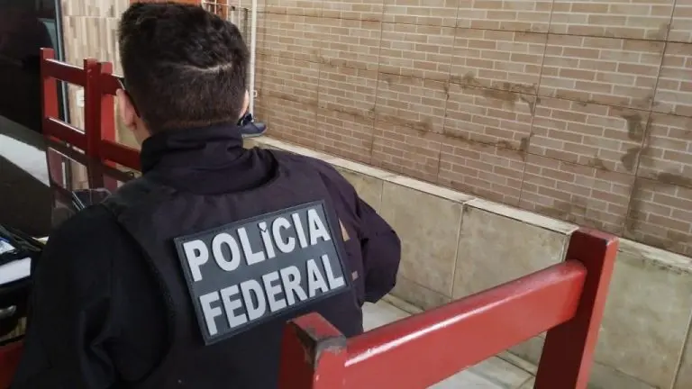 81c98ce4048137e6c8444ef602043803