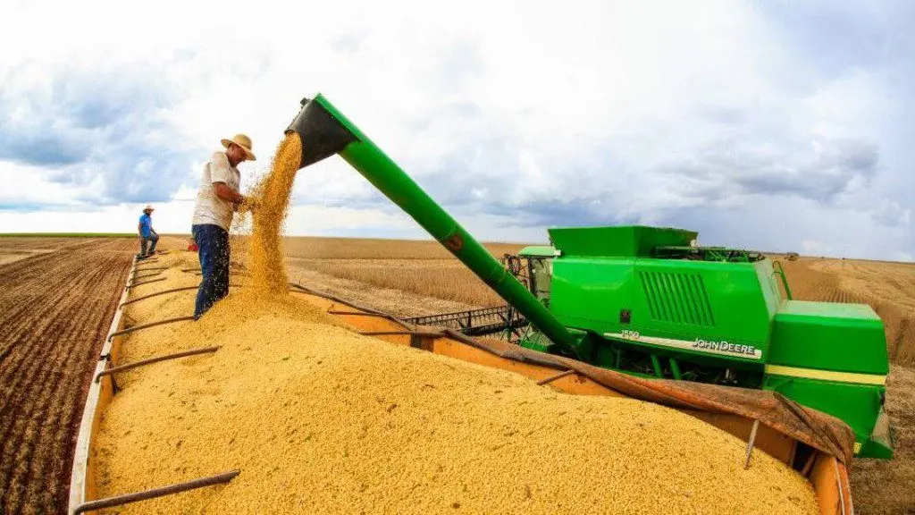 IBGE diz que safra brasileira de grãos deve totalizar 295,9 milhões: queda de 6,2% 1 e2057b9affc317d56127d5ddda11edc4