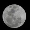 Maior superlua do ano pode ser vista nesta quinta feira