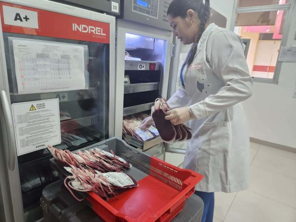 Recebimento de Bolsas de Sangue do Ceara Ascom Sesau 1