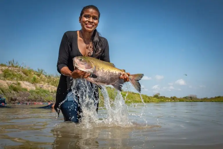 Projeto busca fortalecer a economia local e promover a sustentabilidade da atividade