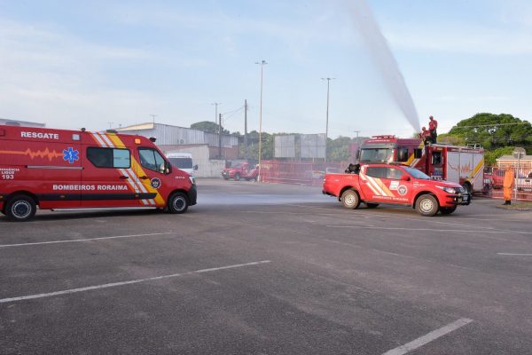 Bombeiros sao recepcionados no retorno ao Estado 1