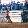 Competicao de rodeio na Expoferr Show 2024 4