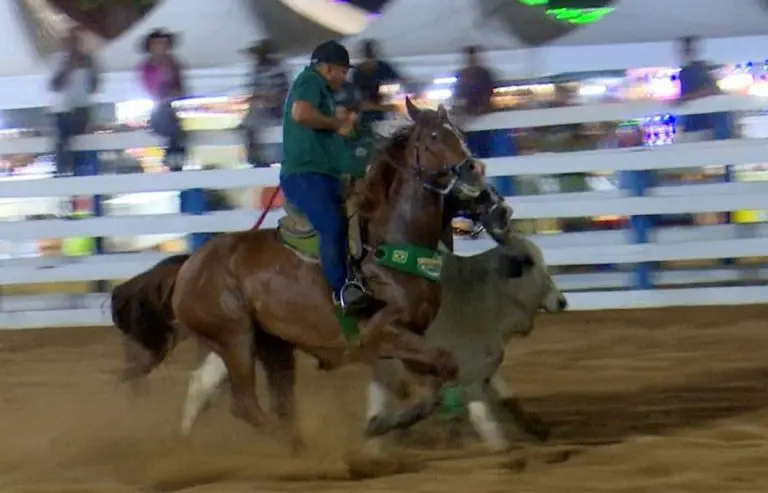 Competidores locais e nacionais comecam disputa de provas equestes do evento 2 1