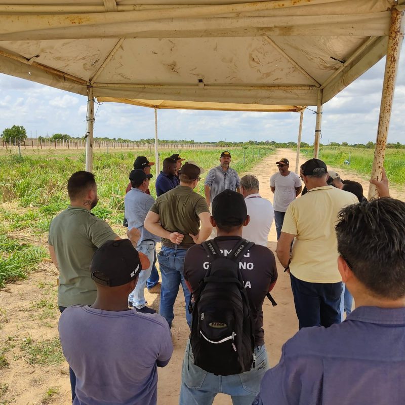 Dia de Campo destaca inovacao e sustentabilidade no agronegocio roraimense 4 scaled scaled