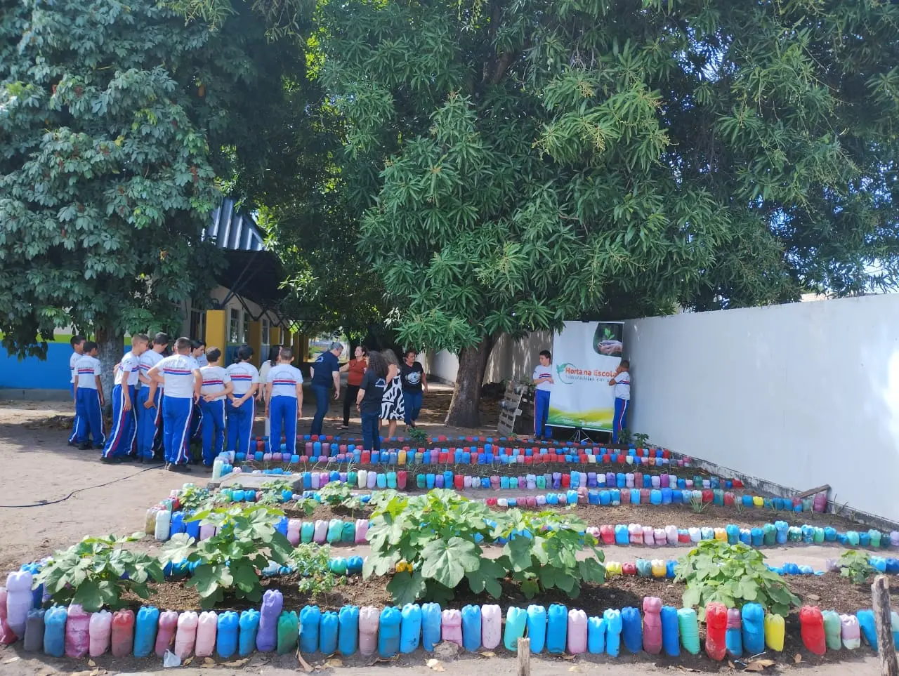 EDUCACAO AMBIENTAL 5