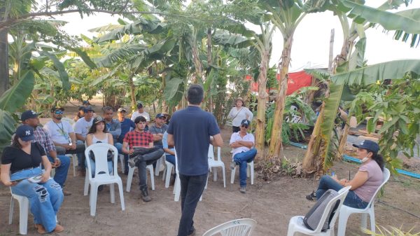 Governo de Roraima oferece capacitacoes para profissionais e estudantes na Rota do Agro 1