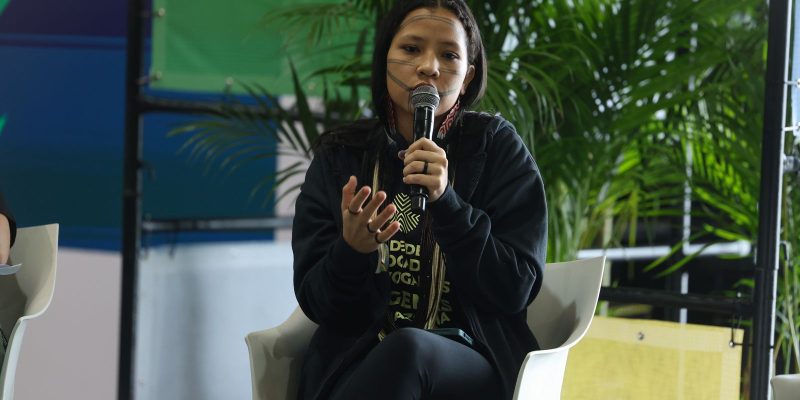 Indigenas cobram demarcacoes para avancar em transicao ecologica