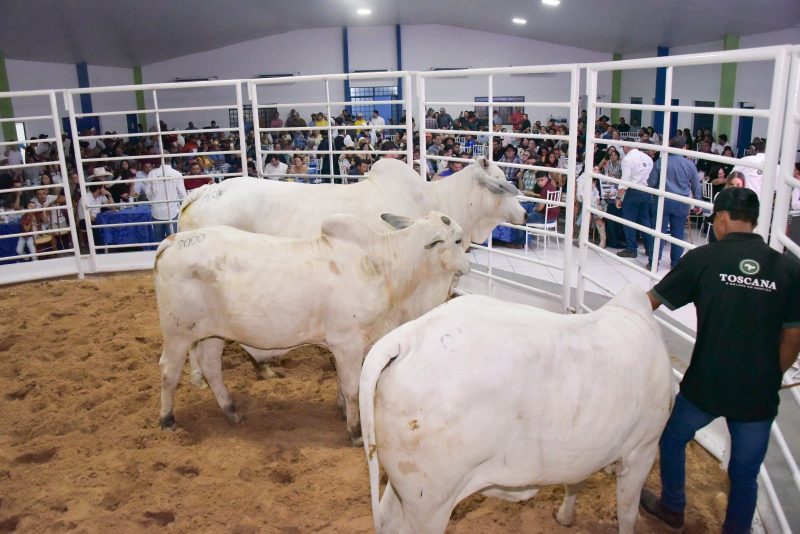 Leiloes da Expoferr Show fortalecem a pecuaria de Roraima 2