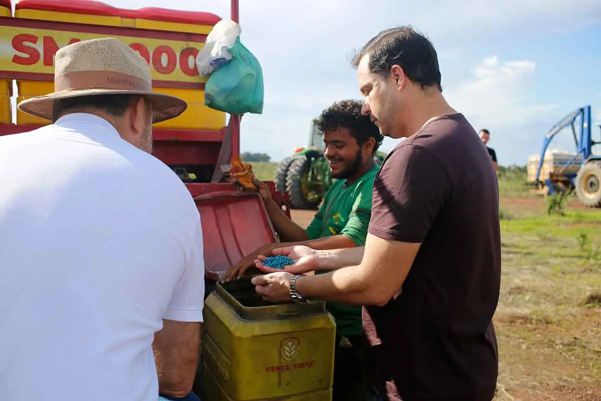 MARLON BUSS PLANTAÇÃO DE SOJA AGRO SOJA 13