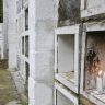 Preco de enterros triplica apos concessao de cemiterios em SP