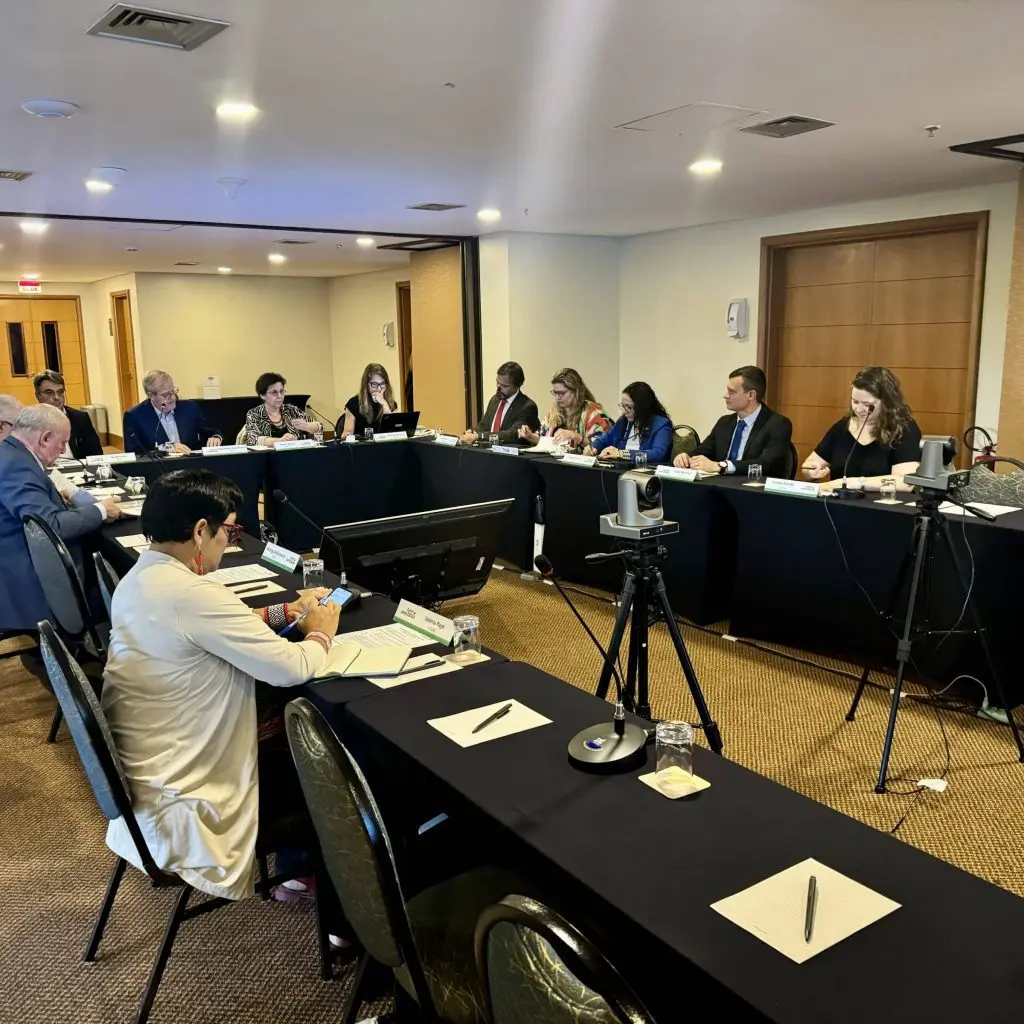 Roraima participa de reuniao de comite do Fundo Amazonia em Brasilia 2 scaled