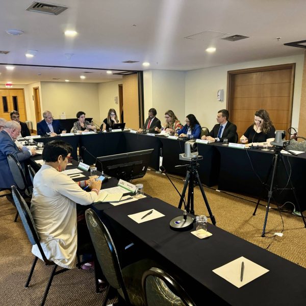 Roraima participa de reuniao de comite do Fundo Amazonia em Brasilia 2 scaled scaled