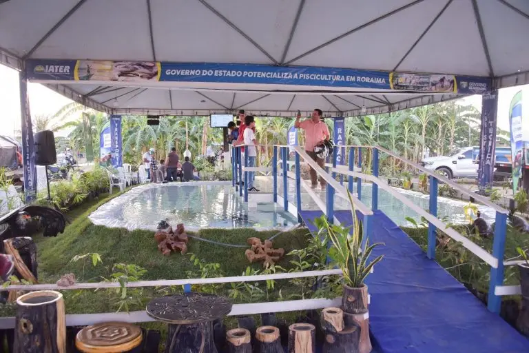 Rota do Agro impulsiona agricultura familiar com tecnologia e sustentabilidade 2 1