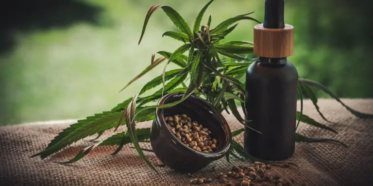 Segunda edicao da ExpoCannabis comeca hoje em Sao Paulo