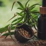 Segunda edicao da ExpoCannabis comeca hoje em Sao Paulo