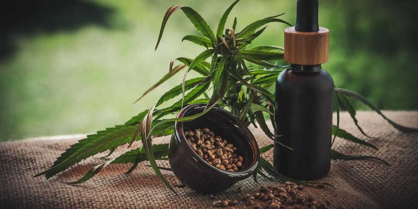 Segunda edicao da ExpoCannabis comeca hoje em Sao Paulo