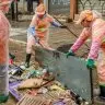 Servico de limpeza urbana esta presente em 998 dos municipios