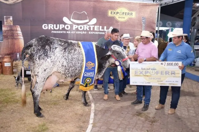 Vaca da raca Girolando vence segundo torneio leiteiro da Exposicao 4