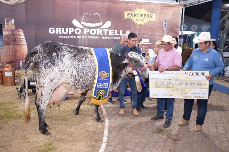 Vaca da raca Girolando vence segundo torneio leiteiro da Exposicao 4