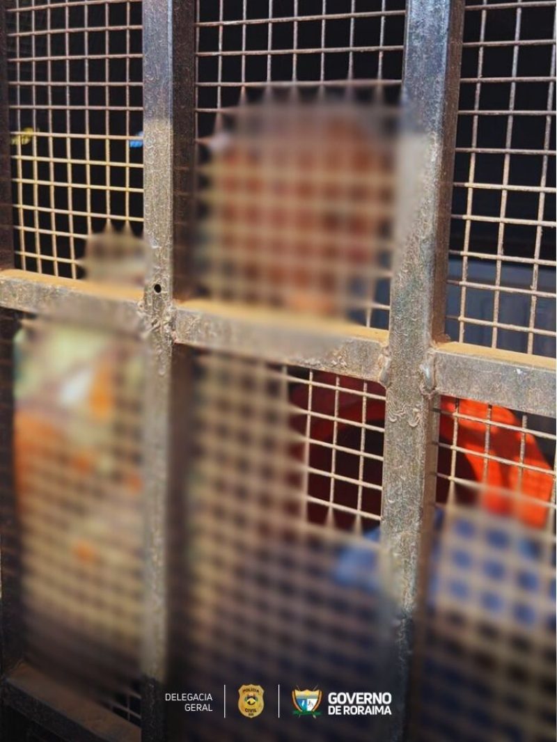 Acao integrada das forcas de seguranca prende autor de feminicidio