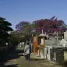Audiencia no STF discute precos cobrados em cemiterios de Sao