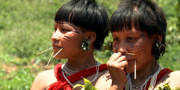 Censo 2022 mapeou 85 mil localidades indigenas em todo o