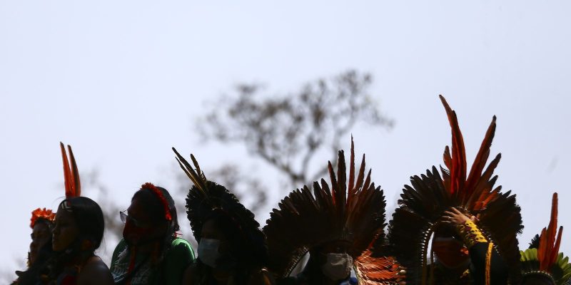Ciencia precisa dialogar com ecologia indigena dizem pesquisadores