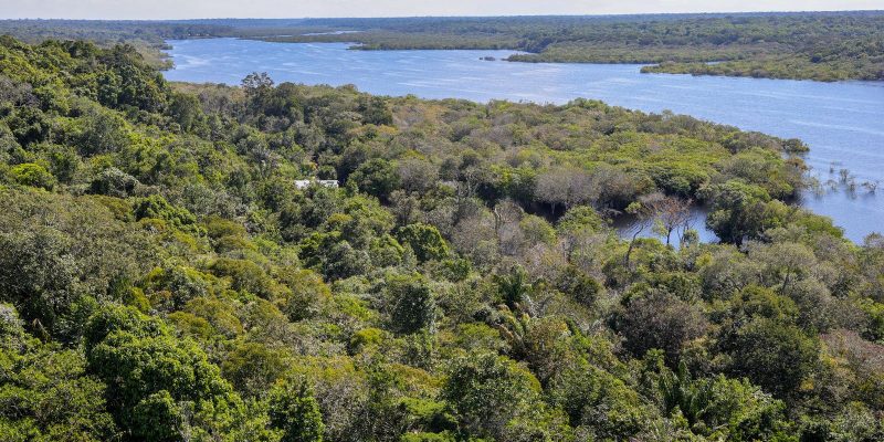 Conflito por territorio e principal gerador de violencia na Amazonia