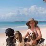 Ferias chegam e trazem um dilema viajar ou nao com