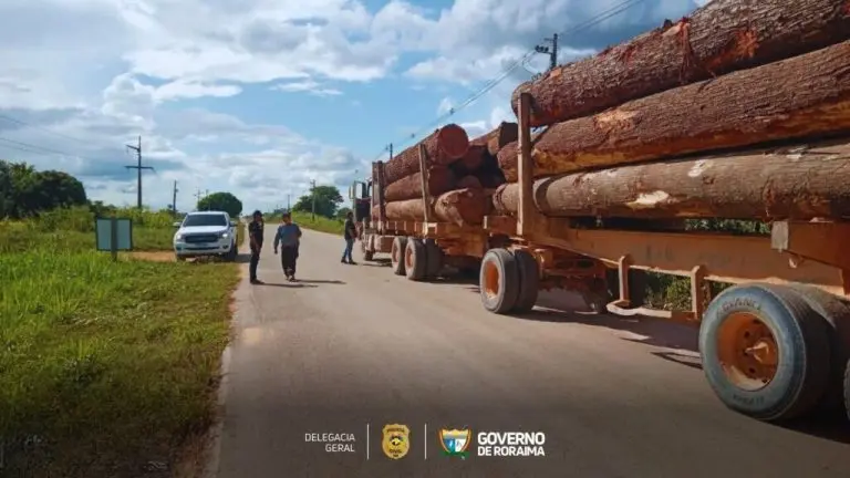 OPERACAO PROTETOR DO BIOMA Policia Civil apreende 305 metros cubicos