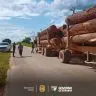 OPERACAO PROTETOR DO BIOMA Policia Civil apreende 305 metros cubicos