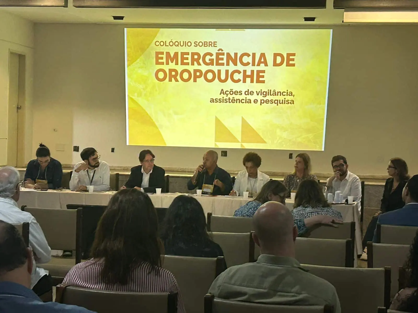 Roraima participa de seminário sobre vigilância da febre Oropouche no Espírito Santo 1 Seminario sobre a vigilancia da Febre Oropouche no Espirito Santo Ascom Sesau 2