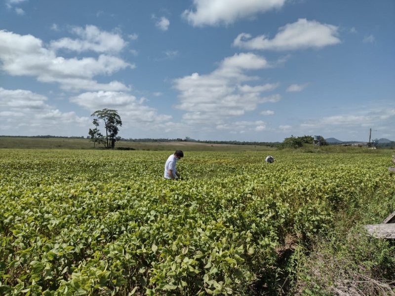 Vazio sanitario em Roraima 3