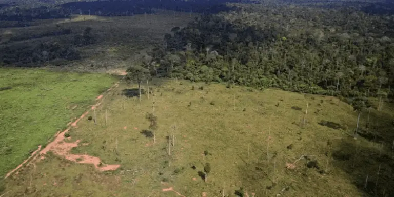 vsdvsdvsdvmvkds 750x375