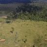 vsdvsdvsdvmvkds 750x375