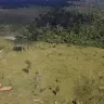 vsdvsdvsdvmvkds 750x375