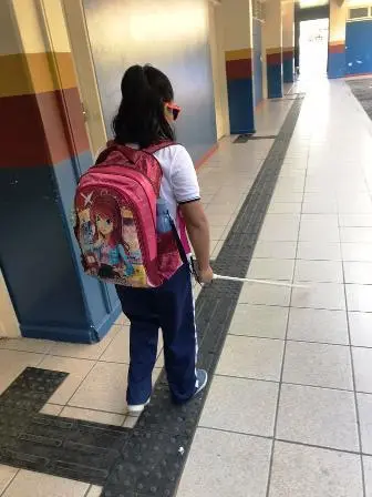 Governo de Roraima garante atendimento especializado para alunos com necessidades especiais 1 Atividades CADAH S Ascom Seed 2