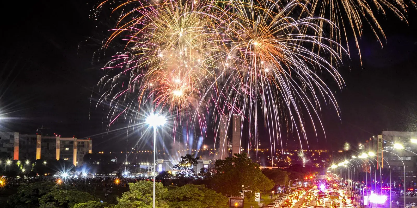 Fogos com estampido poem em risco vidas de animais e
