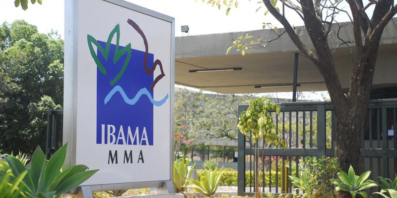 Inscricoes para 460 vagas de concurso do Ibama estao abertas