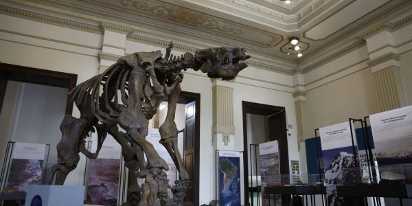 Museu de Ciencias da Terra sera revitalizado no Rio