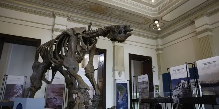 Museu de Ciencias da Terra sera revitalizado no Rio
