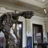 Museu de Ciencias da Terra sera revitalizado no Rio