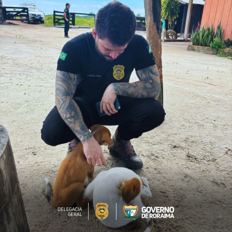 Policia Civil descarta envenenamento e aponta doenca viral como causa